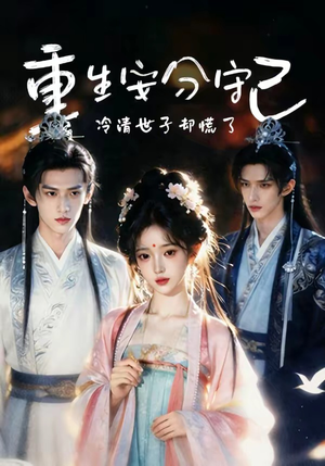 重生安分守己（13集）看精彩短剧