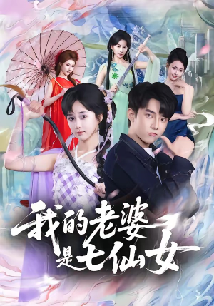 我的老婆是七仙女（57集）解说文案