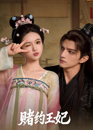 赌约王妃（40集）夸克网盘观看