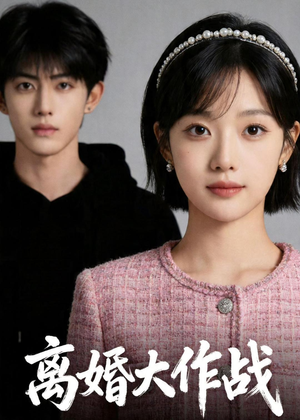 离婚大作战（52集）排行榜前十短剧