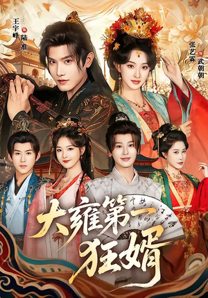 大雍第一狂婿（90集）全集免费