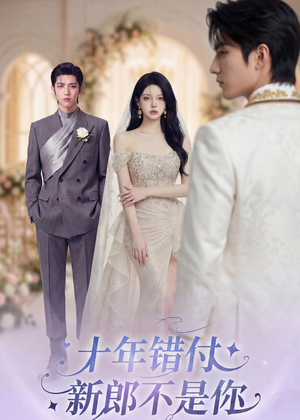 十年错付，新郎不是你（51集）在线观看全集