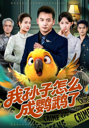 我孙子怎么成鹦鹉了（71集）追短剧关注我