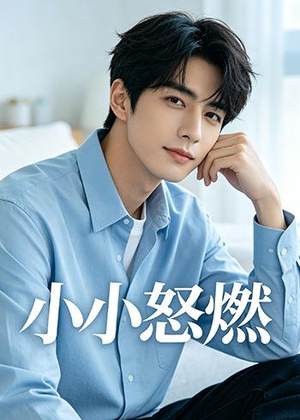 小小怒燃（19集）最新热播短剧