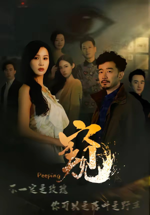窥伺（37集）短剧精彩绝伦