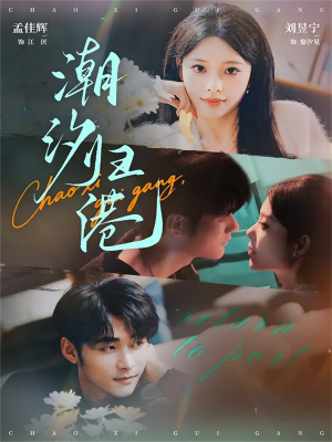 潮汐归港（66集）短剧在线观看