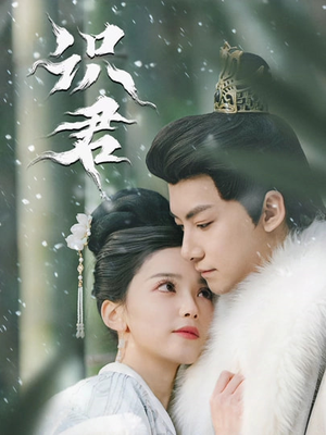 识君（59集）精彩连连免费看