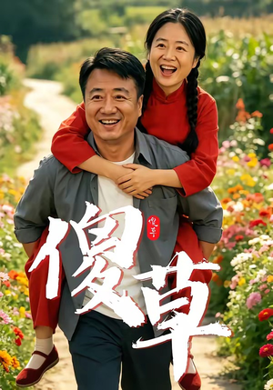 傻草（71集）在哪里可以全集