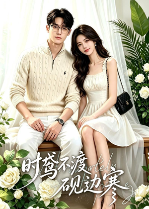 时鸢不渡砚边寒（41集）热门短剧抢先看