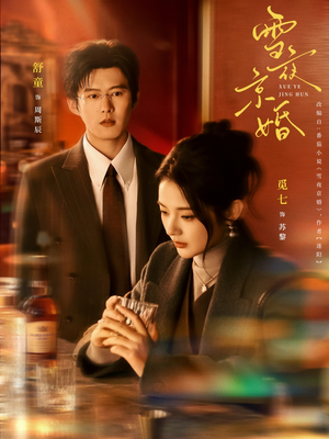 雪夜京婚（84集）独家资源免费看