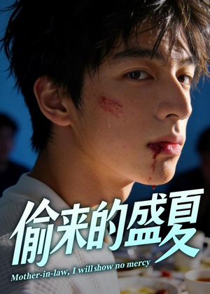 偷来的盛夏（40集）在线播放