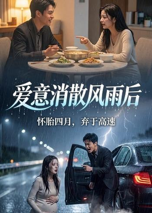 爱意消散风雨后（52集）精彩短剧热播中