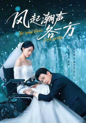 风起潮声各一方（84集）热门短剧推广