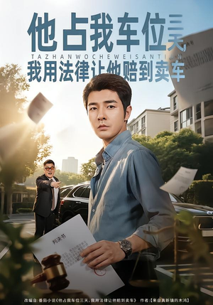 他占我车位三天，我用法律让他赔到卖车（60集）高分佳作免费看