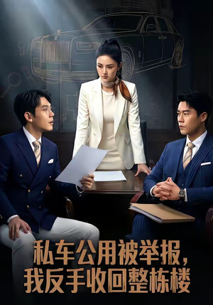 私车公用被举报，我反手收回整栋楼（71集）在线看免费版