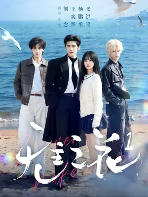 无主之花1（72集）免费观看全集