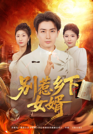 别惹乡下女婿（80集）百度在线观看