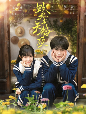 败犬与天鹅颈（71集）1-102集