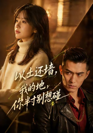 以土还墙，我的地，你半寸别想碰（56集）免费在线看