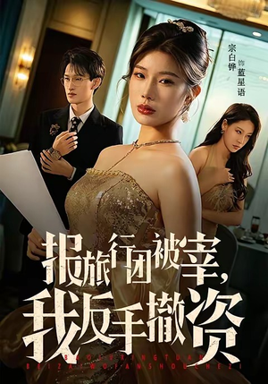 报旅行团被宰，我反手撤资（59集）在哪里看