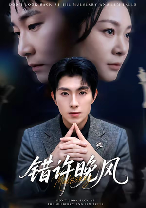 错许晚风（60集）在线观看完整版