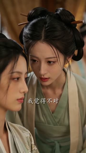 青簪秘史(60集) 青簪秘史(60集)解说