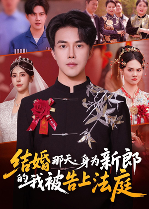 结婚那天,身为新郎的我被告上法庭(59集) 结婚那天,身为新郎的我被告上法庭(59集)80到100集