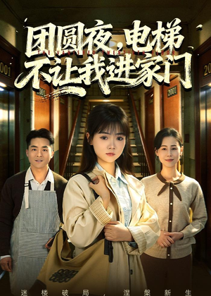 团圆夜,电梯不让我进家门(52集) 团圆夜,电梯不让我进家门(52集)推荐热门短剧