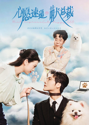 心愿速递之萌犬总裁（50集）短剧全集免费看