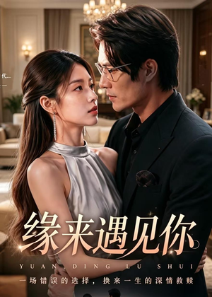 缘来遇见你（29集）在哪里看