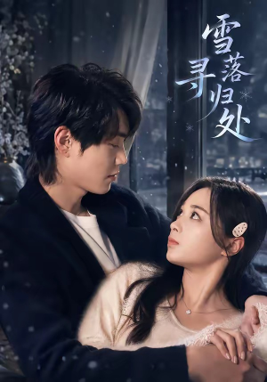 雪落寻归处（60集）短剧演员排行榜