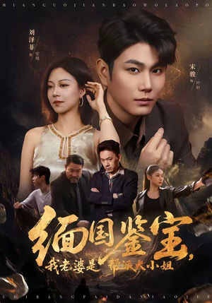 缅国鉴宝,我老婆是帮派大小姐(78集) 缅国鉴宝,我老婆是帮派大小姐(78集)无需会员轻松看