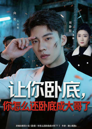 让你卧底,你怎么还卧成大哥了(80集) 让你卧底,你怎么还卧成大哥了(80集)古装热门短剧