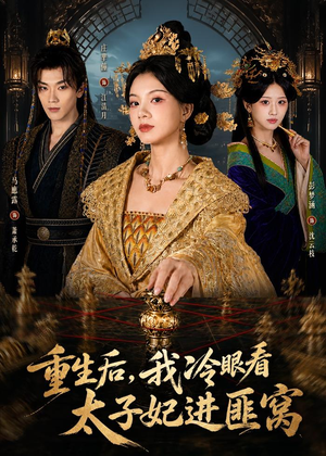 重生后,我冷眼看太子妃进匪窝(60集) 重生后,我冷眼看太子妃进匪窝(60集)免费观看全集
