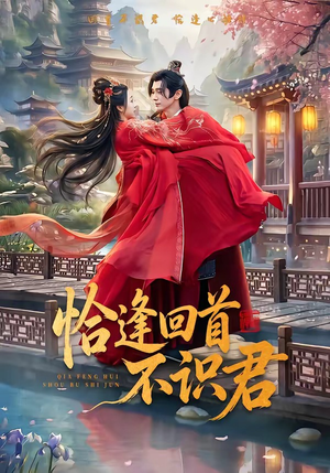 恰逢回首不识君(72集) 恰逢回首不识君(72集)短剧完整版免费