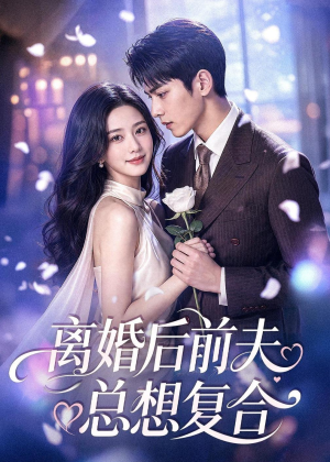离婚后前夫总想复合（72集）火热短剧抢先看