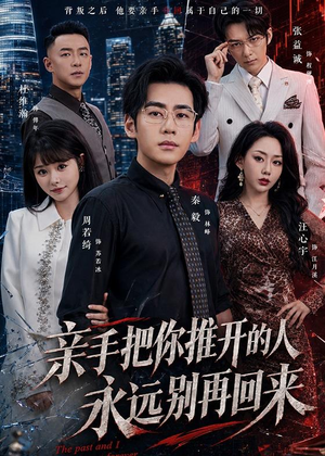 亲手把你推开的人,永远别再回来(61集) 亲手把你推开的人,永远别再回来(61集)在线免费观影