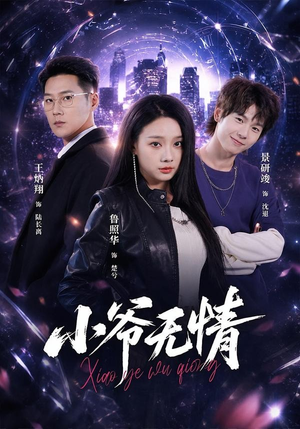 小爷无情(75集) 小爷无情(75集)剧情简介