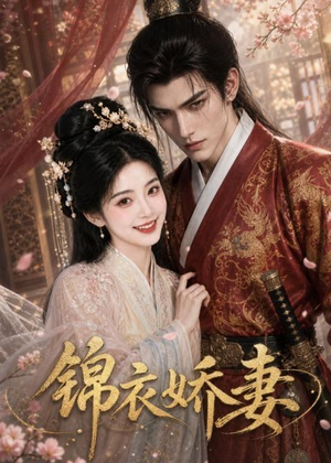 锦衣娇妻(40集) 锦衣娇妻(40集)高清画质免费看