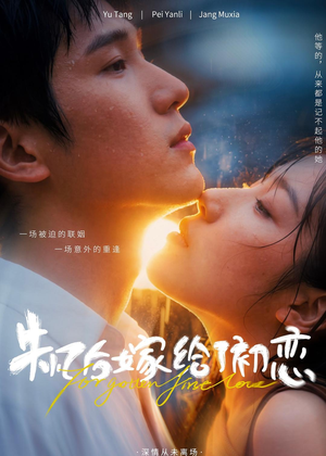 失忆后嫁给了初恋(10集) 失忆后嫁给了初恋(10集)悬疑短剧推荐