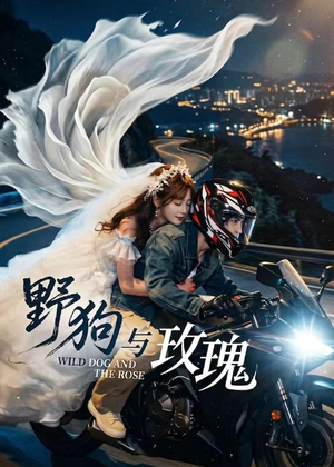 野狗与玫瑰(30集) 野狗与玫瑰(30集)短剧推荐更新中