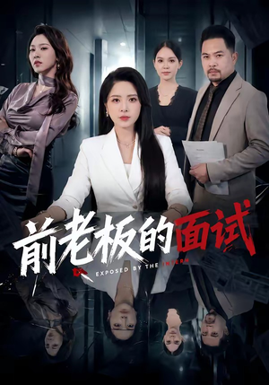 前老板的面试(45集) 前老板的面试(45集)看过的人都说好