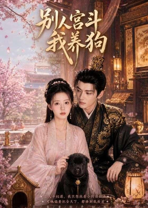 别人宫斗我养狗（75集）更新时间一览表