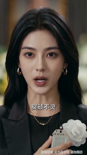 父亲葬礼当天，我在高铁叫停弟弟婚事（59集）全集免费