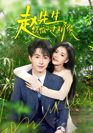 赵先生结婚证过期不候（50集）穿越短剧推荐