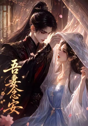 吾妻念安（24集）百度网盘资源