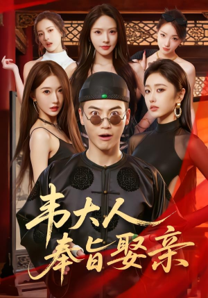 韦大人奉旨娶亲(81集) 韦大人奉旨娶亲(81集)在线免费观影
