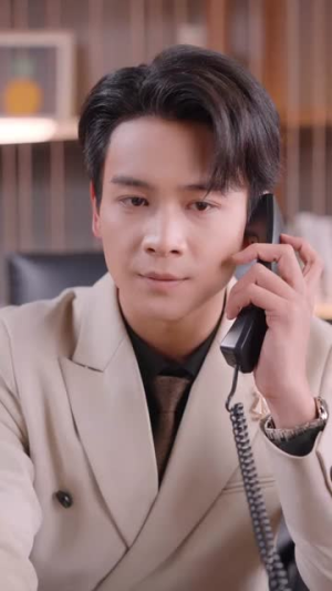 巅峰之路:从平凡到传奇(75集) 巅峰之路:从平凡到传奇(75集)短剧演员排行榜