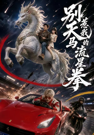 别惹我的天马流星拳(40集) 别惹我的天马流星拳(40集)免费短剧合集