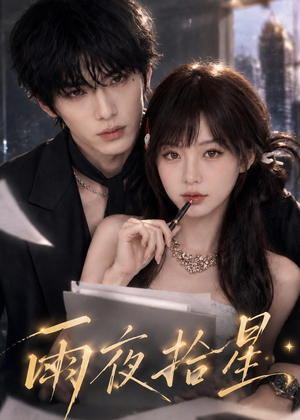 雨夜拾星(49集) 雨夜拾星(49集)演的怎么样